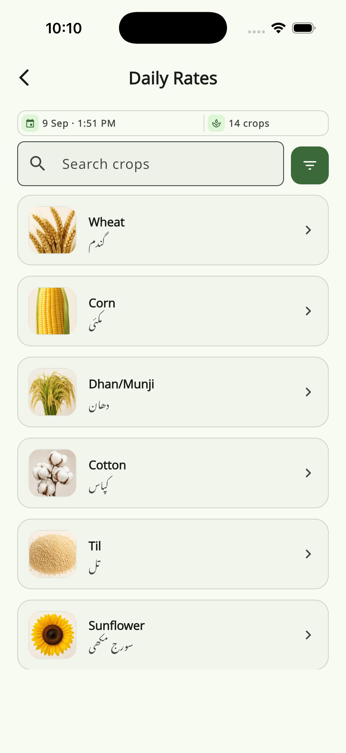 CropCalc daily mandi rates by crop and city